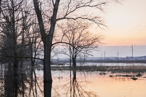 Photo of a river that overflowed its banks when the snow melted. Early spring. Trunks and branches of bare trees. Sunset. Landscape in the off-season in Ukraine. Reflection in water.