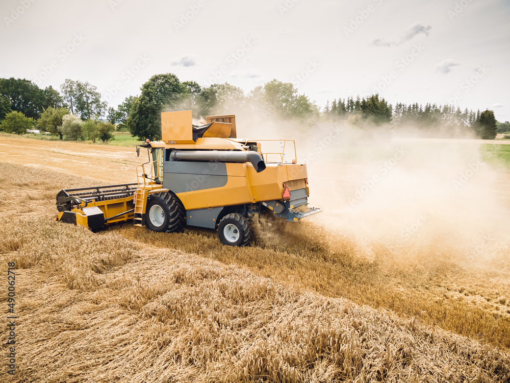 Fototapeta premium Agriculture. Yellow harvester, combain machine, is harvesting a ripe wheat in the field