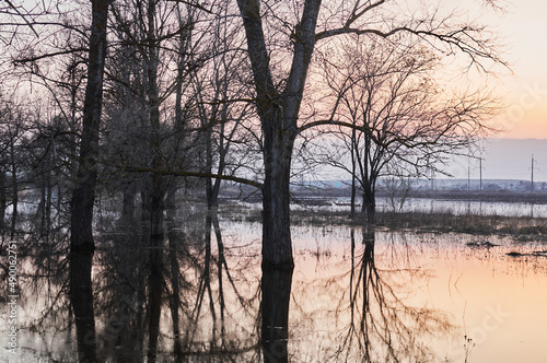 Photo of a river that overflowed its banks when the snow melted. Early spring. Trunks and branches of bare trees. Sunset. Landscape in the off-season in Ukraine. Reflection in water. © Valery