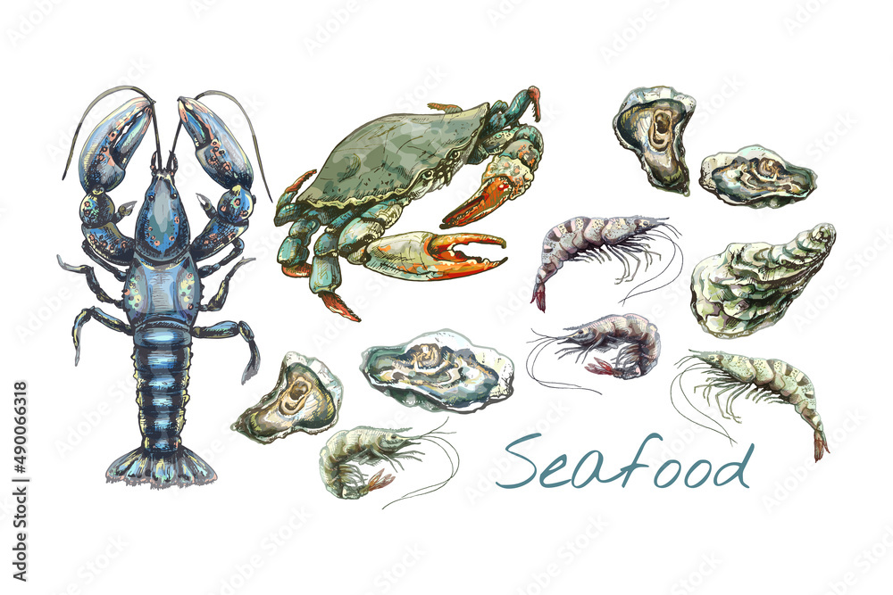 308_lobster_crab_oyster_Shrimp_crab, lobster, oyster, shrimp, seafood illustration set ...