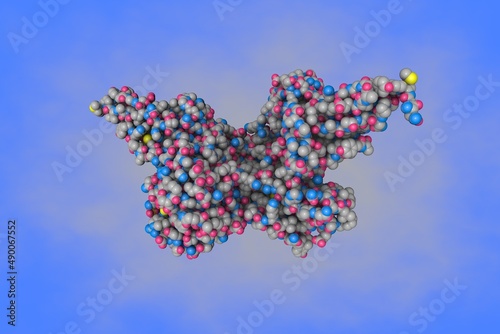 Molecular model of fibroblast growth factor 1 (FGF1) in complex with extracellular ligand binding of FGF receptor 1 (FGFR1). Rendering based on protein data bank. 3d illustration photo