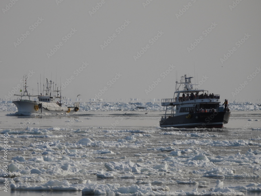 Drift ice in Rausu, Shiretoko Drift ice in Rausu, Shiretoko