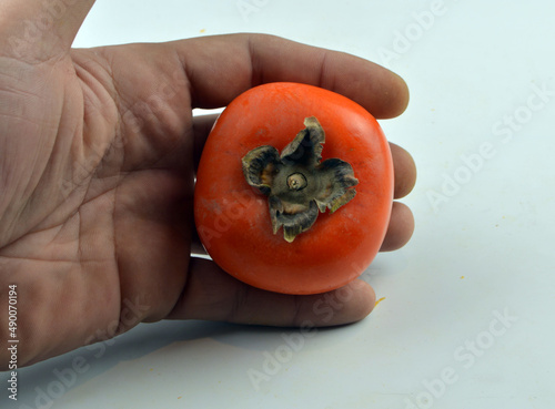 tomato in hand