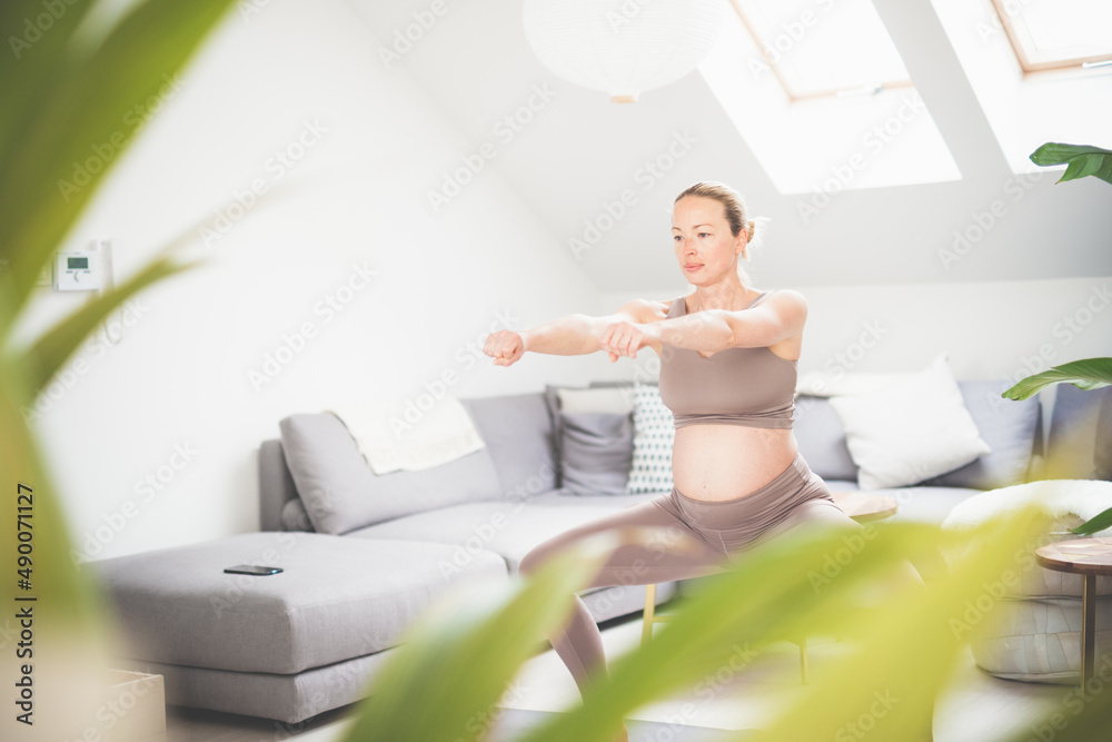 Young beautiful pregnant woman training pilates at home in her living room. Healthy lifestyle and active pregnancy and motherhood concept. Young beautiful pregnant woman training pilates at home in her living room. Healthy lifestyle and active pregnancy and motherhood concept.