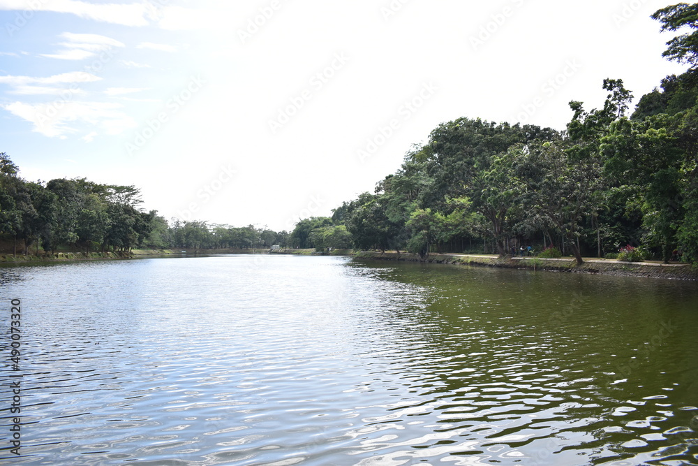 Lanscape of the lake side view Lanscape of the lake side view