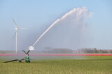 Irrigation sprinkler spraying water on farmland with tulips in the Netherlands during a dry period in spring