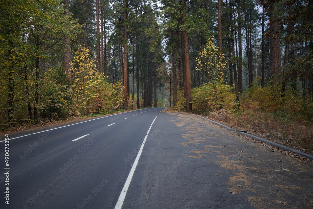 Fototapeta premium カリフォルニア州 ヨセミテ国立公園 秋の道 早朝