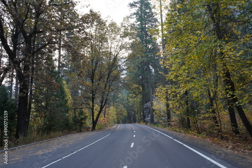 カリフォルニア州 ヨセミテ国立公園 道のり 早朝
