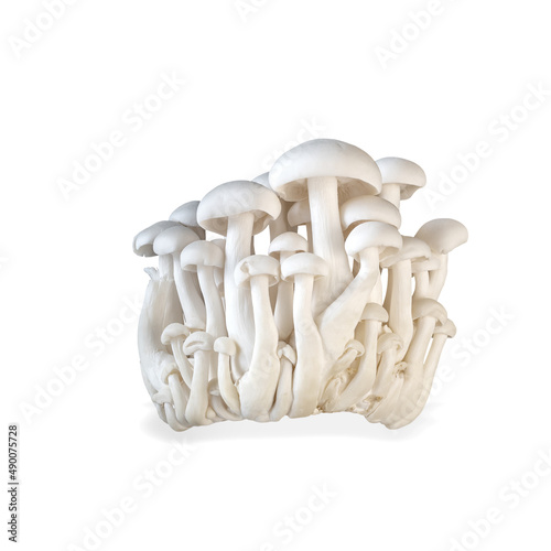 Enoki mushroom isolated on white background. Healthy plant based food diet lifestyle.