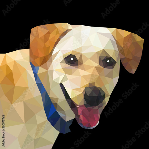 Labrador retriever dog standing in low poly art vector. Geometric Triangle of animal isolated on black background crystal design illustration.
