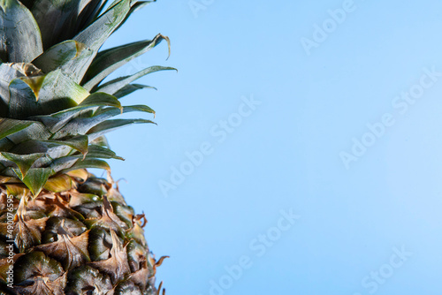 Pineapple on a blue background. close-up view