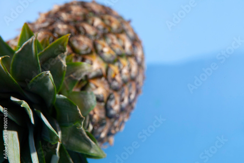 Pineapple on a blue background. close-up view