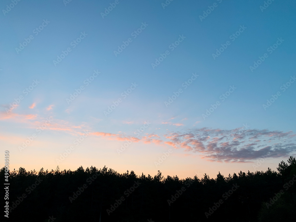 Forest silhouette at dusk. Early morning sunrise. Forest silhouette at dusk. Early morning sunrise.