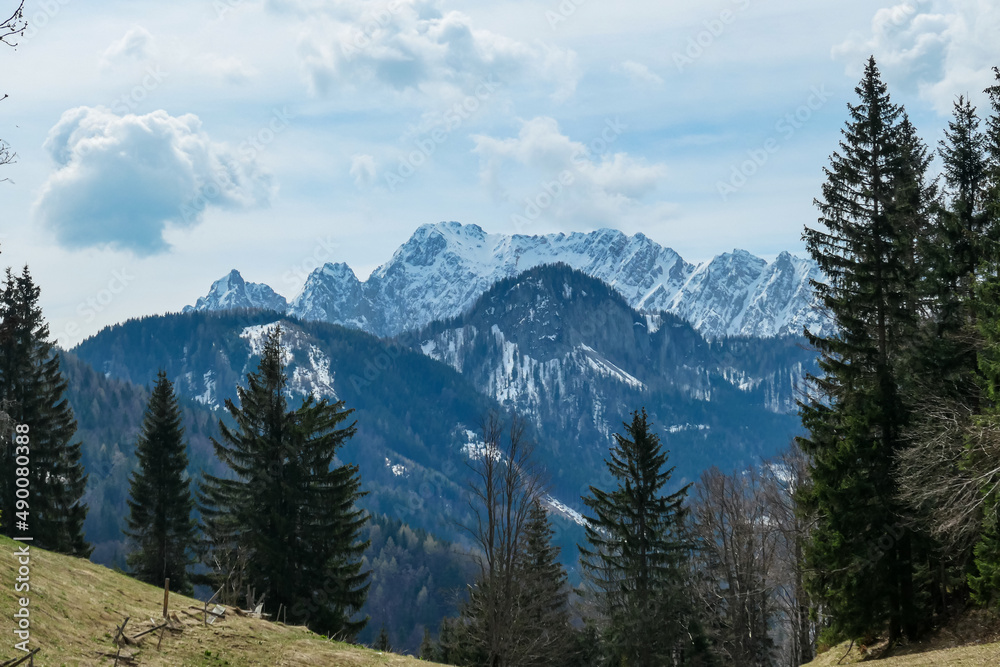 Fototapeta premium Alpine meadow with scenic view of snow capped mountain peaks of Karawanks on the way to Sinacher Gupf in Carinthia, Austria. Mount Wertatscha is visible in early spring. Rosental on a sunny day. Hike