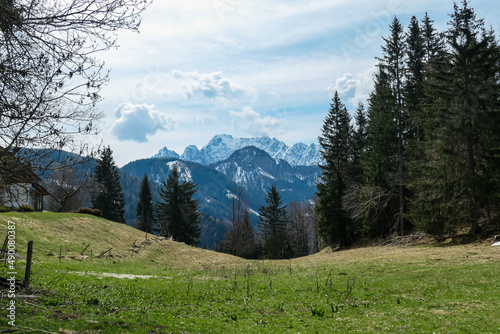 Alpine meadow with scenic view of snow capped mountain peaks of Karawanks on the way to Sinacher Gupf in Carinthia, Austria. Mount Wertatscha is visible in early spring. Rosental on a sunny day. Hike photo