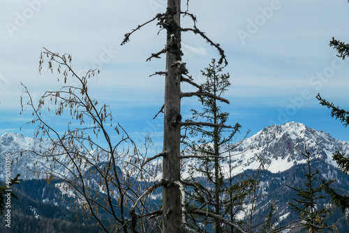 Scenic view of snow capped mountain peaks of Karawanks near Sinacher Gupf in Carinthia, Austria. Mount Wertatscha and Hochstuhl (Stol) is visible through dense forest in early spring. Sunny Rosental photo