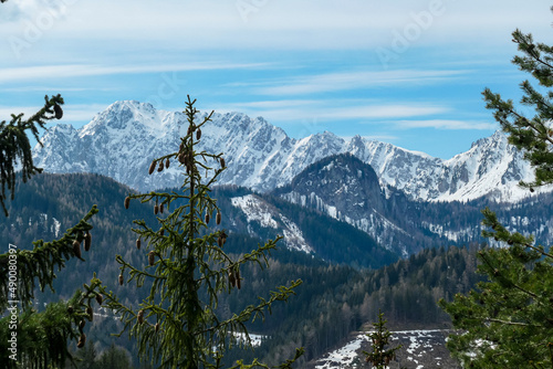 Scenic view of snow capped mountain peaks of Karawanks on the way to Sinacher Gupf in Carinthia, Austria. Mount Wertatscha is visible through dense forest in early spring. Rosental on a sunny day.Hike photo