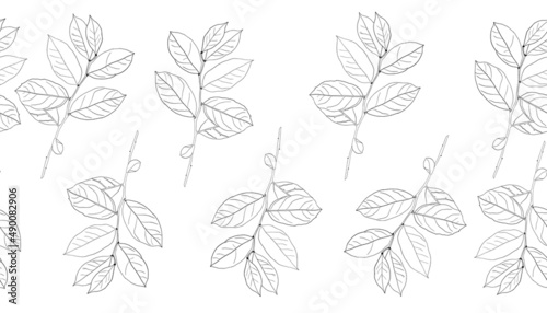 Leaves vector border. Hand drawn floral elements. Vintage botanical illustrations.Lineart border.