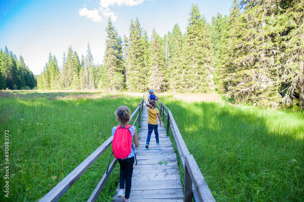 Children walking on wooden footpath over wetland at natural reserve , summer day.