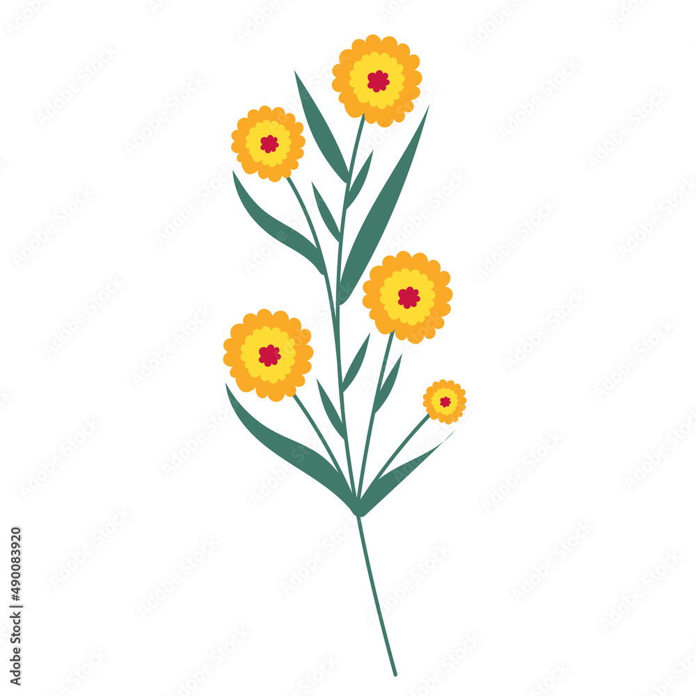 flower, flat design on white background, isolated vector flower, flat design on white background, isolated vector