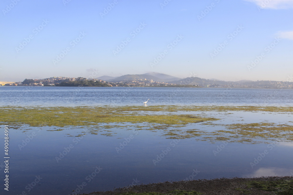 Lago , Lagoa das Palmeiras em CAbo Frio rJ Brasil 