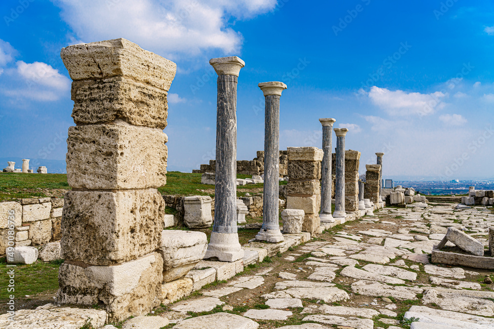 roman architecture columns