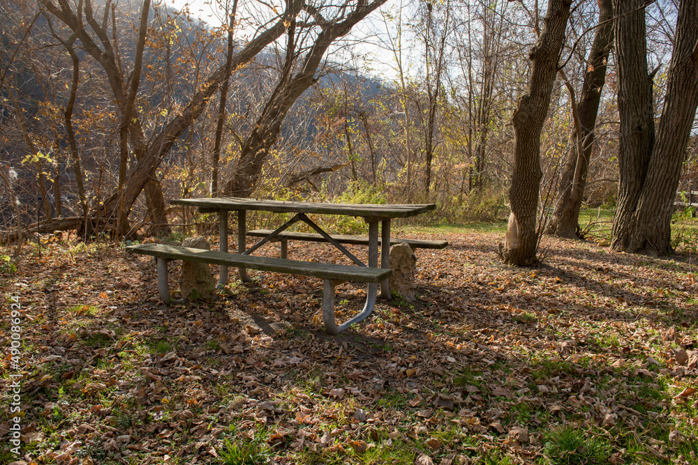 Picnic table in the middle of the forest