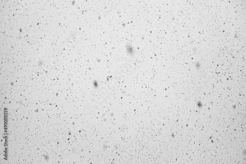 Falling snow. Black and white texture