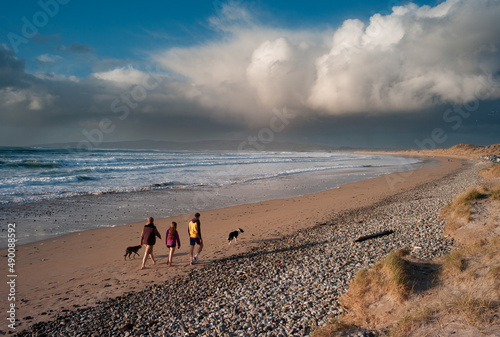 Canvas Print Family with dogs walking on the beach during sunset, stormy sky background