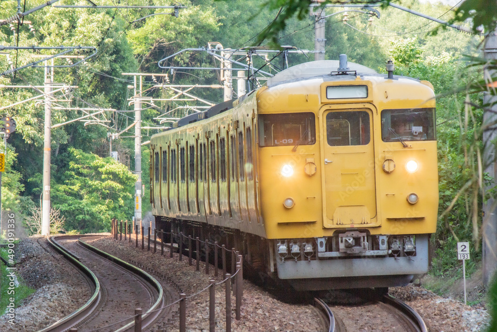 Naklejka premium 115系