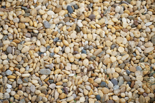 Crushed stone gravel can soften landscape look with its chosen colors. The pea stones are selected by size and colors, mixed together to be pavement, sidewalk or to hide plumping pipes in a garden. 