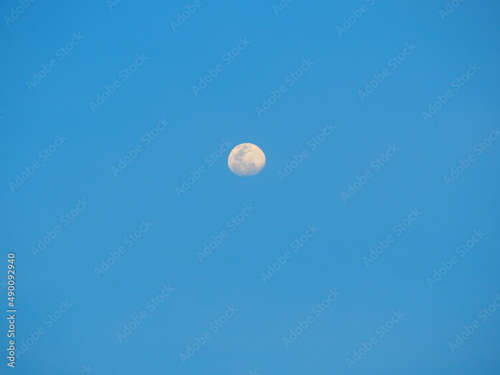 moon in the blue sky moon in the blue sky