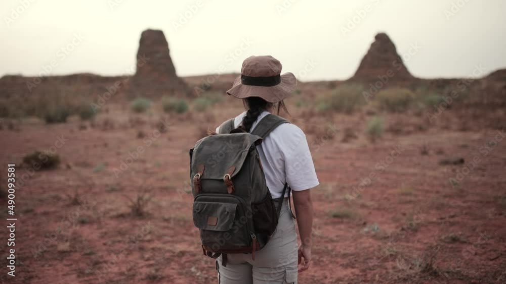 Anonymous traveler standing in desert field Anonymous traveler standing in desert field