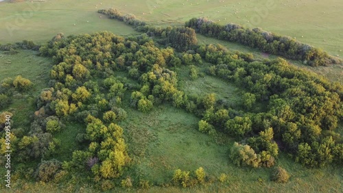 Wallpaper Mural view of the forest Torontodigital.ca