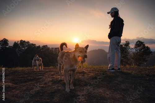 Asian woman standing with domestic stray dogs on hill in countryside at sunset