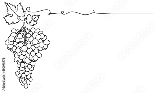 Bunches of grapes and leaves. Vine. Vector line drawing on white or transparent background