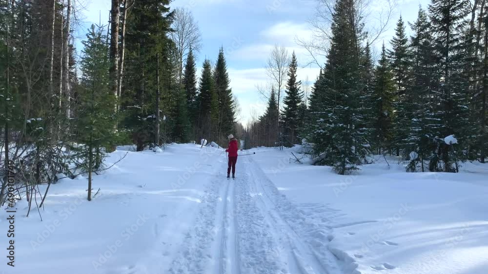 A walk through the winter forest. Snow trees and a cross-country ski trail. Beautiful and unusual roads and forest trails. Beautiful winter landscape. Skiing in the forest. Skiing movement A walk through the winter forest. Snow trees and a cross-country ski trail. Beautiful and unusual roads and forest trails. Beautiful winter landscape. Skiing in the forest. Skiing movement