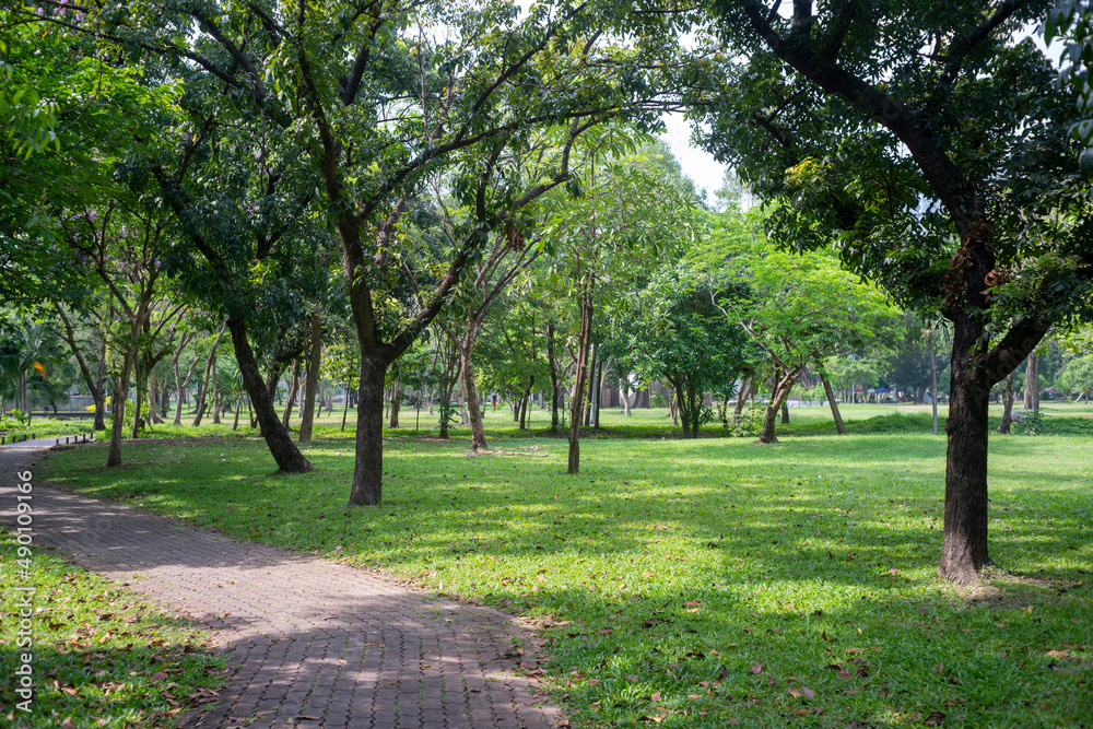 Beautiful nature at morning with sun in big city park Beautiful nature at morning with sun in big city park
