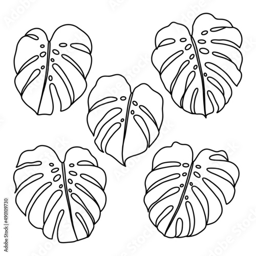 Outlined monstera leaves vector clip art