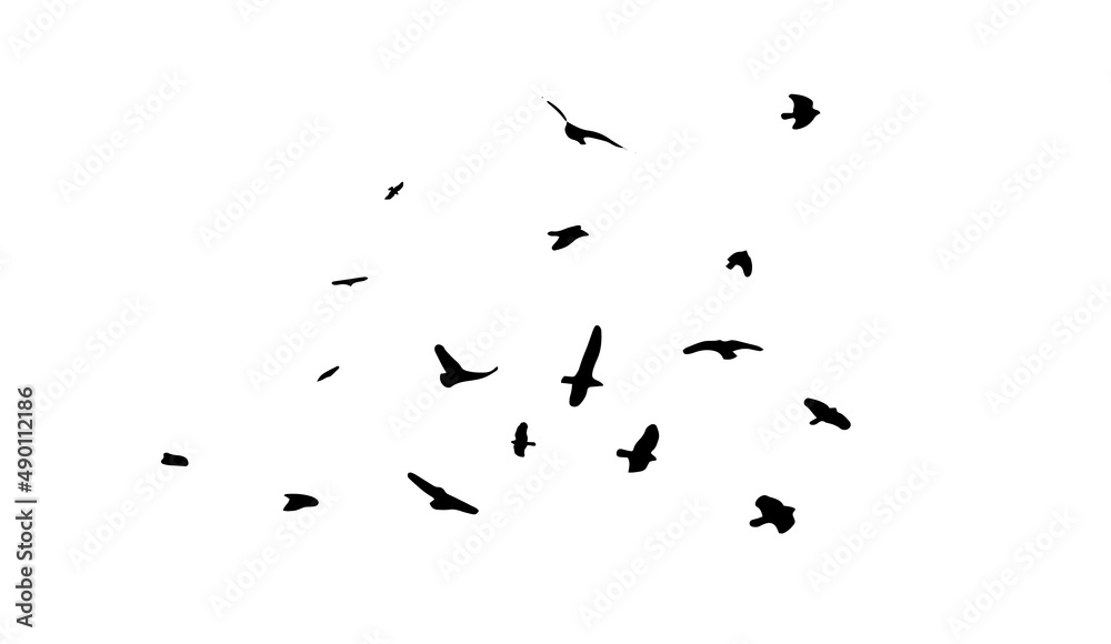 A flock of flying birds. Free birds. Vector illustration A flock of flying birds. Free birds. Vector illustration