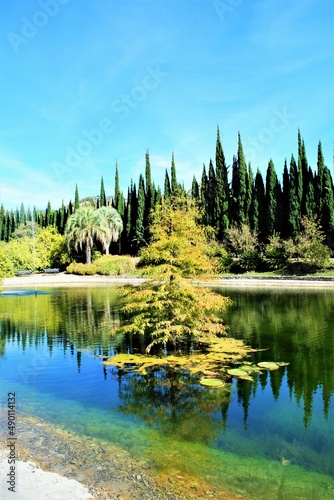 Pine in the water 'Jardín Botánico - Histórico La Concepción'