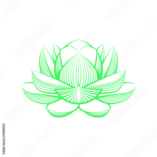 Lotus Flower Vector (ID: 490116151)