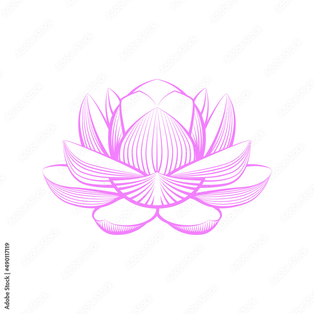 Lotus Flower Vector Pink Lotus Flower Vector Pink