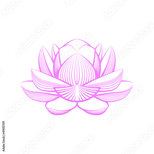 Lotus Flower Vector Pink (ID: 490117119)