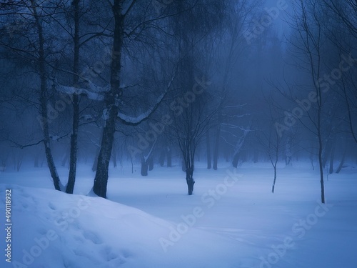 Dark winter forest at dawn. Morning mist enveloped the fabulous snow-covered forest. Slhouettes of trees on a background of snow.  © Nazarii