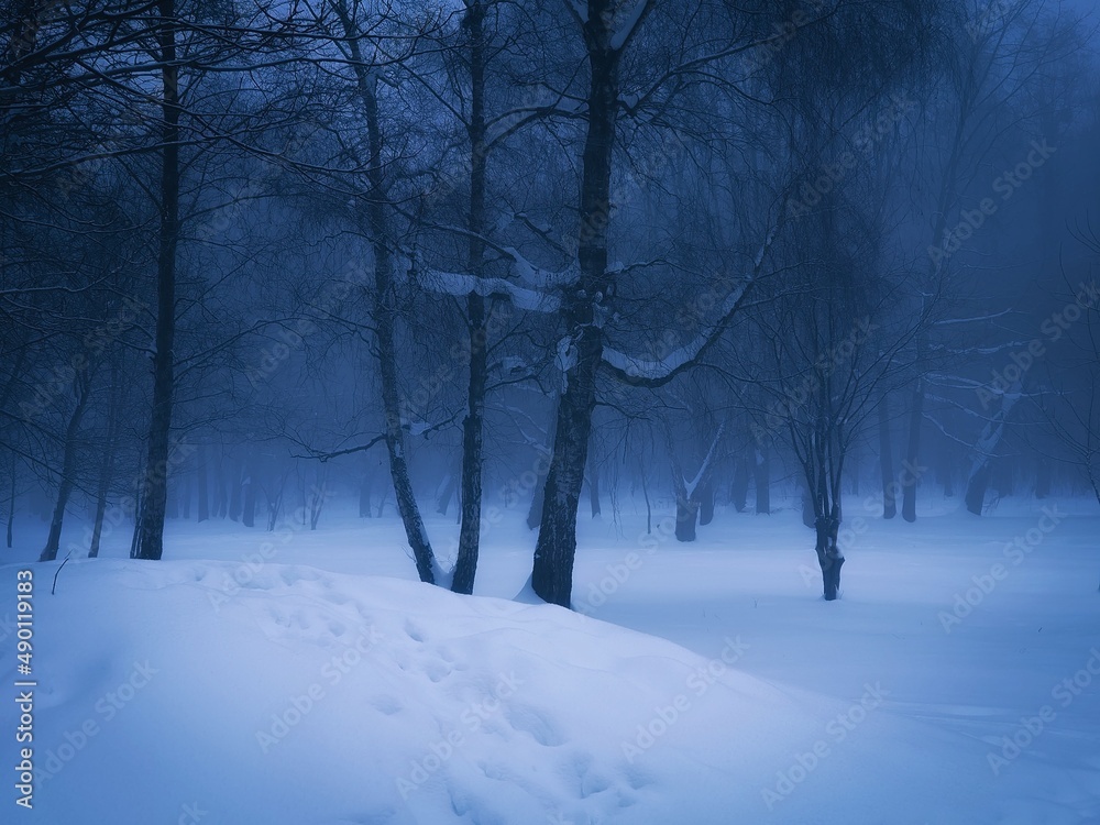 Obraz premium Dark winter forest at dawn. Morning mist enveloped the fabulous snow-covered forest. Slhouettes of trees on a background of snow. 