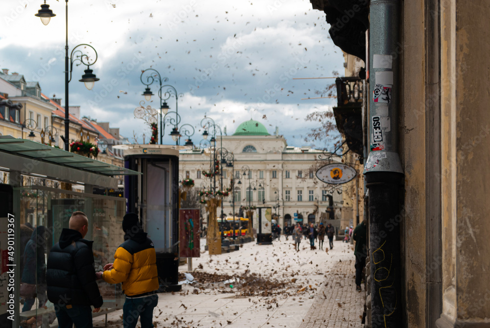 Fototapeta premium Nowy świat wichura 2