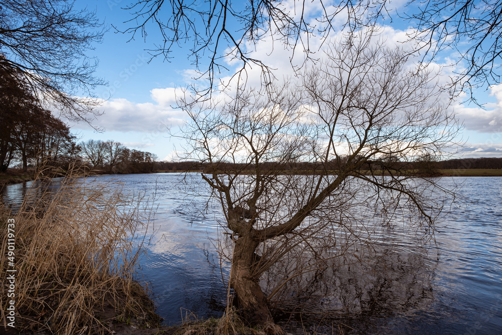 Ein Baumstamm ragt in das Wasser der Ems Ein Baumstamm ragt in das Wasser der Ems