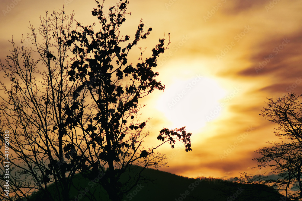 sunset in the field sunset in the field