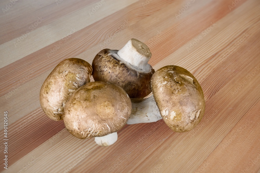 Tasty fresh row mushrooms. Wild forest mushrooms Tasty fresh row mushrooms. Wild forest mushrooms